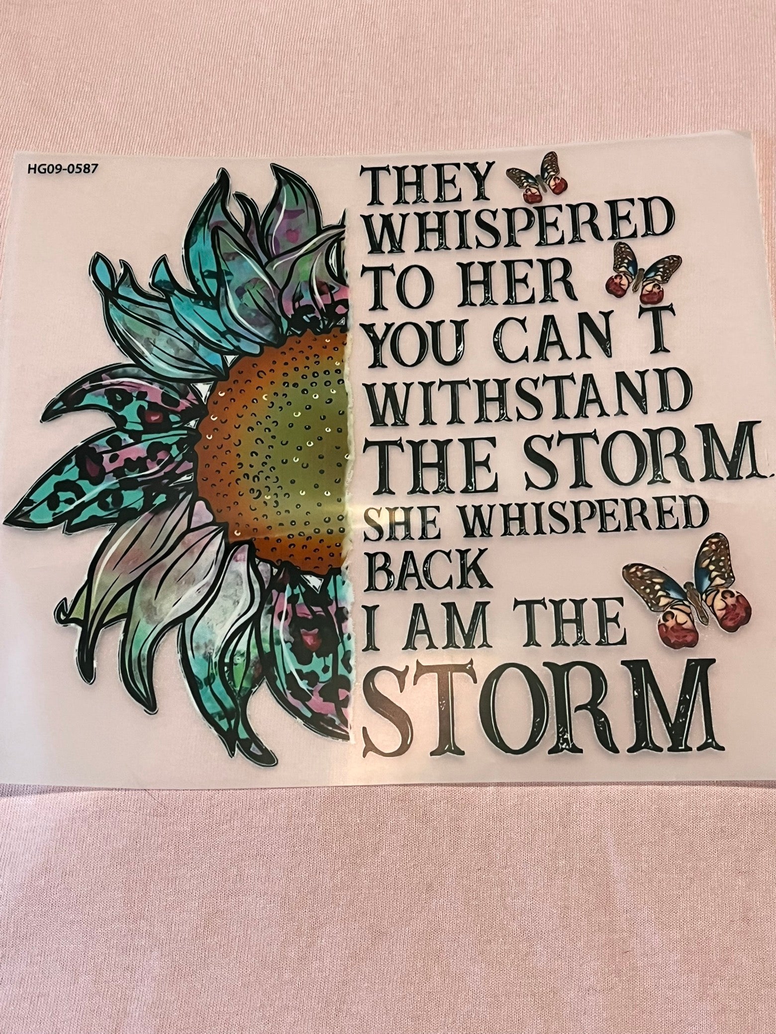 I AM The Storm Adult Tshirt